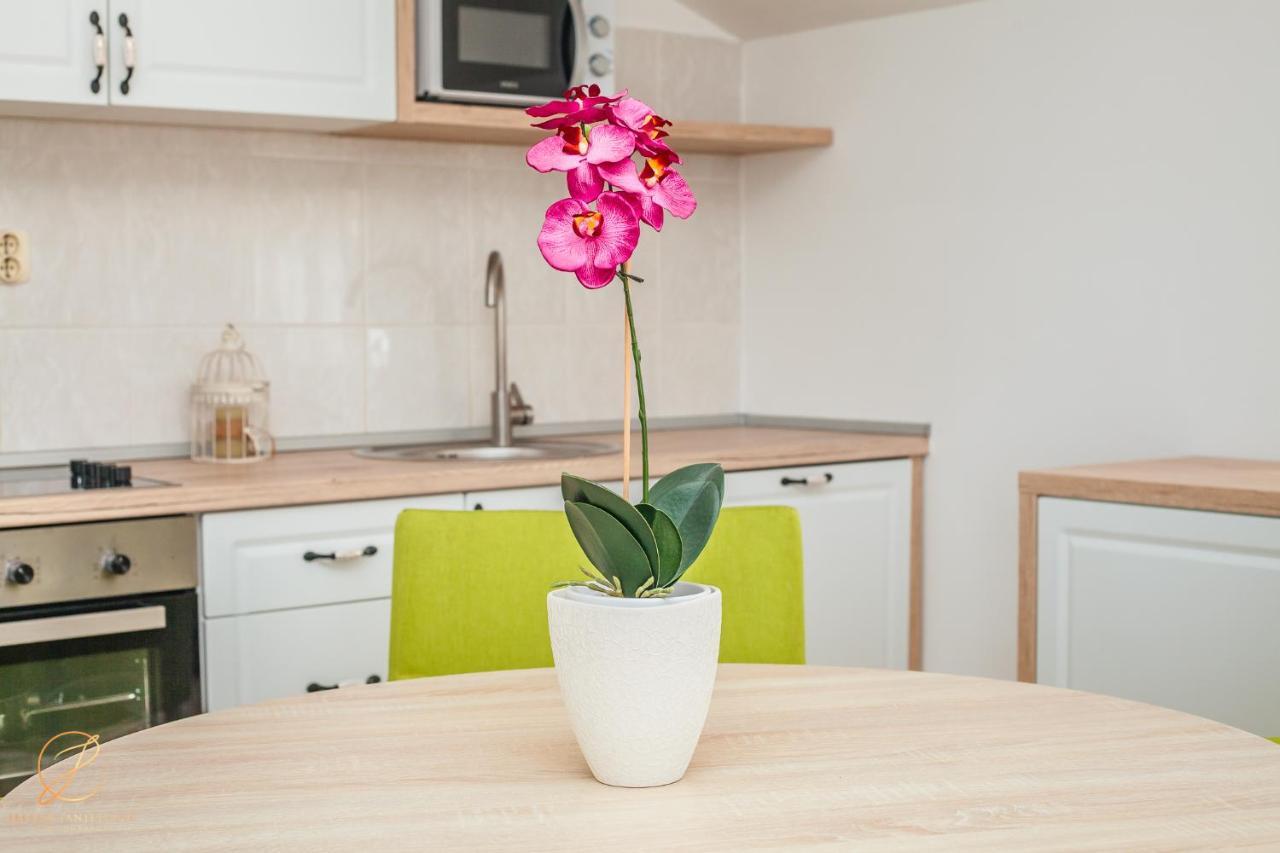 Apartments Batricevic Herceg Novi Ngoại thất bức ảnh