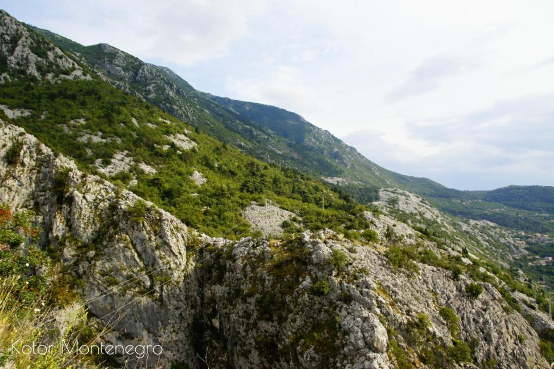 Apartments Batricevic Herceg Novi Ngoại thất bức ảnh